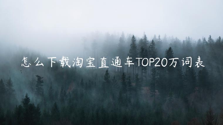 怎么下载淘宝直通车TOP20万词表